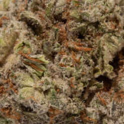 weedsmart_image_Lime Sorbet (AAAA+)