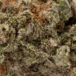 weedsmart_image_Mac 1 (AAAA)
