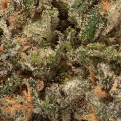 weedsmart_image_Lemon Meringue (AAAA+)