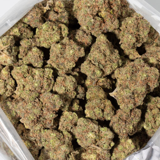 weedsmart_image_Afghani (AAAA)