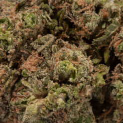 weedsmart_image_Afghani (AAAA)