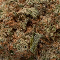 weedsmart_image_Hindu Kush (AAA+)