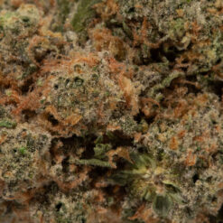 weedsmart_image_Kosher Kush (AAAA)
