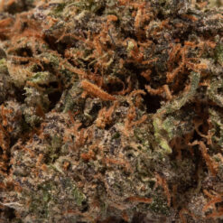weedsmart_image_White Thunder (AAA+)