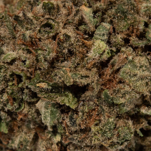 weedsmart_image_Durban Poison (AAA+)