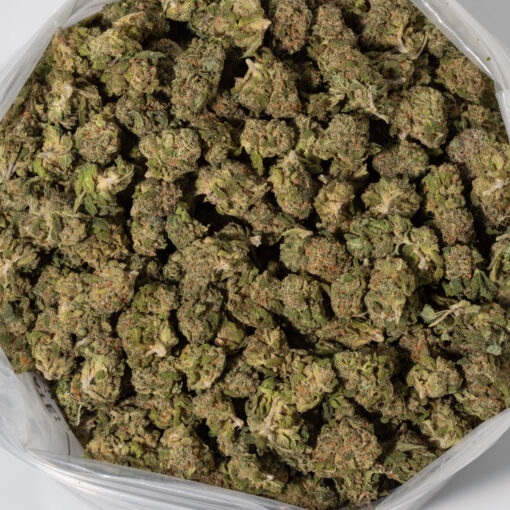 weedsmart_image_Cherry Pie (AAAA/Popcorn)