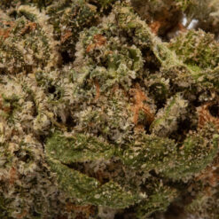 weedsmart_image_Cherry Pie (AAAA/Popcorn)
