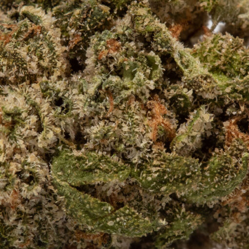 weedsmart_image_Cherry Pie (AAAA/Popcorn)