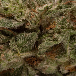 weedsmart_image_Peanut Butter Cup (AAAA/Popcorn)