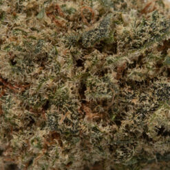 weedsmart_image_Space Queen (AAAA+/Popcorn)