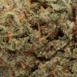 weedsmart_image_White Wedding (AAAA/Popcorn)