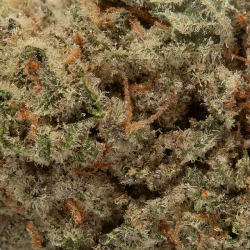 weedsmart_image_White Wedding (AAAA/Popcorn)