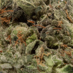 weedsmart_image_Sour Tangie (AAAA/Popcorn)