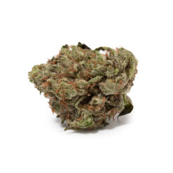 weedsmart_image_Granddaddy Purple (AAAA/Popcorn)