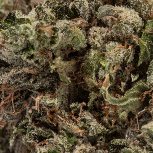 weedsmart_image_All Gas OG (AAAA)