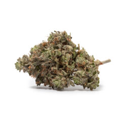 weedsmart_image_All Gas OG (AAAA)