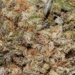 weedsmart_image_Wedding Crasher (AAA+)