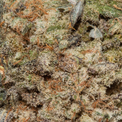 weedsmart_image_Wedding Crasher (AAA+)
