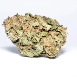 weedsmart_image_Blueberry Kush (AA/AA+)