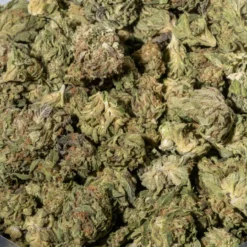 weedsmart_image_Blueberry Kush (AA/AA+)