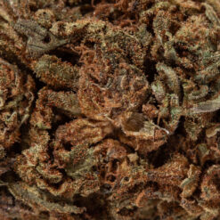 weedsmart_image_Venom OG (A/Cheap)