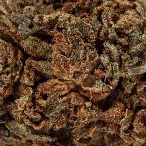 weedsmart_image_Venom OG (A/Cheap)