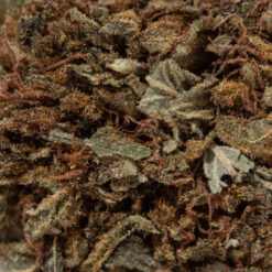 weedsmart_image_Angel Cake (A/Cheap)