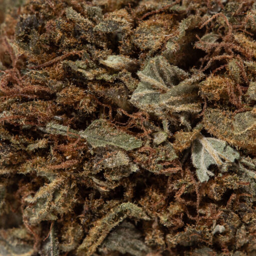 weedsmart_image_Angel Cake (A/Cheap)