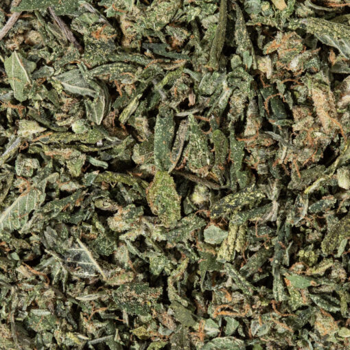 weedsmart_image_White Widow Hybrid (Shake)