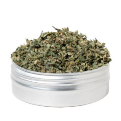 weedsmart_image_White Widow Hybrid (Shake)