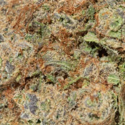 weedsmart_image_Cheesewreck (AAAA)