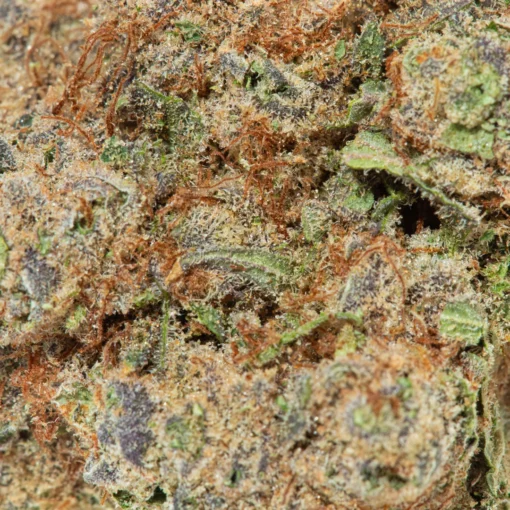 weedsmart_image_Cheesewreck (AAAA)