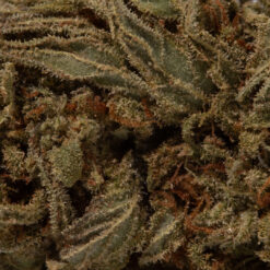 weedsmart_image_Diablo (AA)