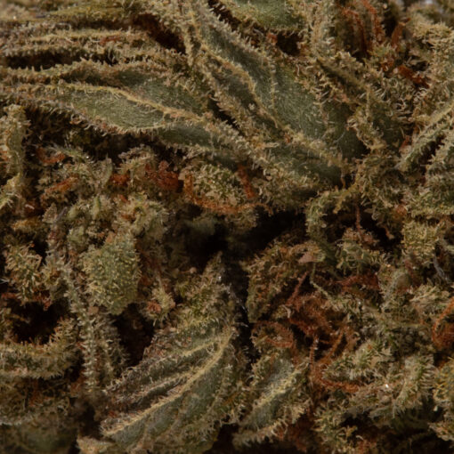 weedsmart_image_Diablo (AA)