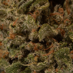 weedsmart_image_Ninja Fruit (AA)