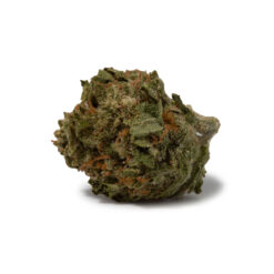 weedsmart_image_Ninja Fruit (AA)