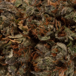 weedsmart_image_Nirvana (AA)