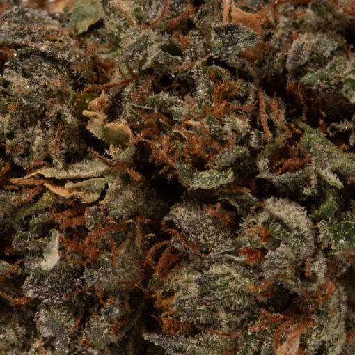 weedsmart_image_Nirvana (AA)