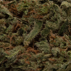 weedsmart_image_Hawaiian Haze (AA)