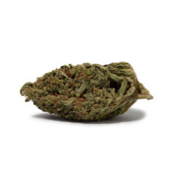 weedsmart_image_Hawaiian Haze (AA)