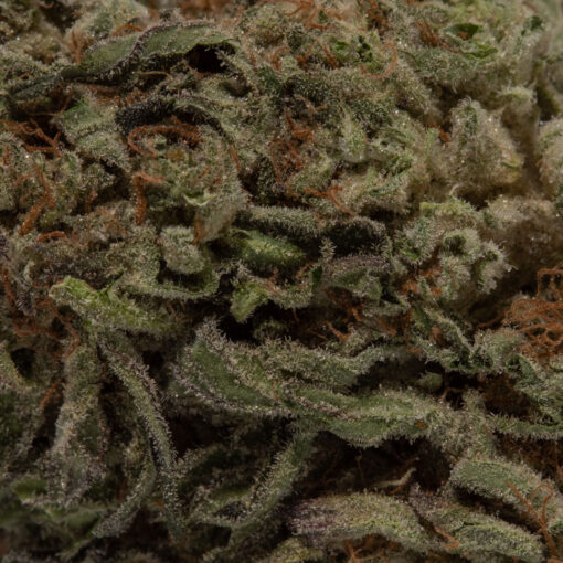 weedsmart_image_Cherry Cola (AA)