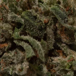 weedsmart_image_MK Ultra (AAAA/Popcorn)
