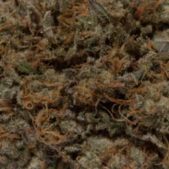weedsmart_image_Cotton Candy (AAA)