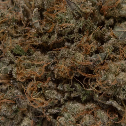 weedsmart_image_Cotton Candy (AAA)