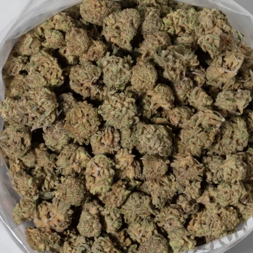 weedsmart_image_Citrus Sap (AAAA+/Popcorn)