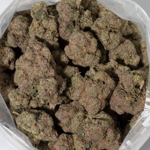 weedsmart_image_Neon Sunshine (Craft/AAAAA)