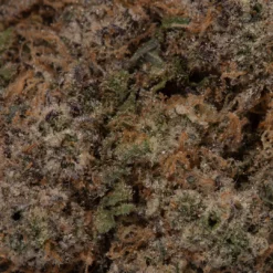 weedsmart_image_Neon Sunshine (Craft/AAAAA)