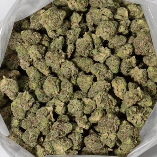 weedsmart_image_Cherry Bomb (AAAA+/Popcorn)