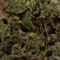weedsmart_image_Cherry Bomb (AAAA+/Popcorn)