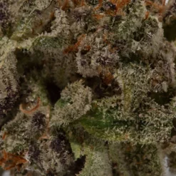 weedsmart_image_Monster Cookies (AAAA+/Popcorn)